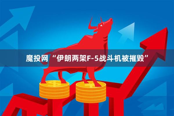 魔投网 “伊朗两架F-5战斗机被摧毁”