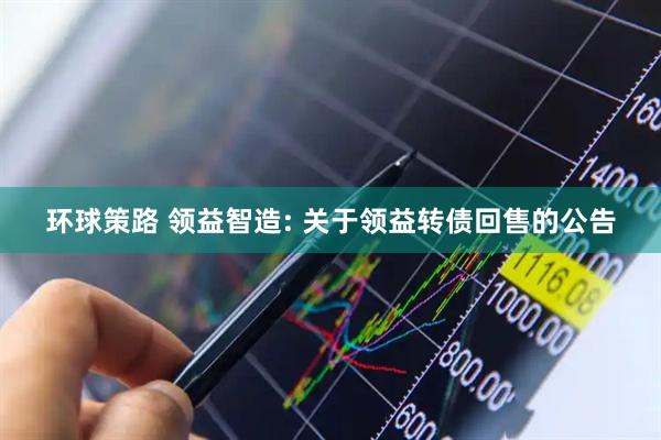 环球策路 领益智造: 关于领益转债回售的公告