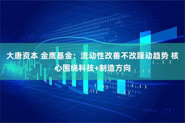 大唐资本 金鹰基金：流动性改善不改躁动趋势 核心围绕科技+制造方向